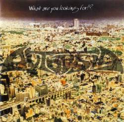 What Are You Looking For!?